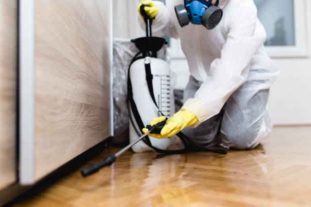 Best Commercial Pest Control Services  in Holyoke, CO