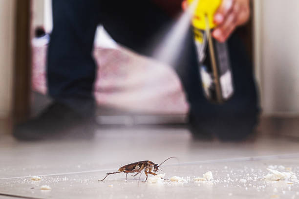 Reliable Holyoke, CO Pest Control Solutions