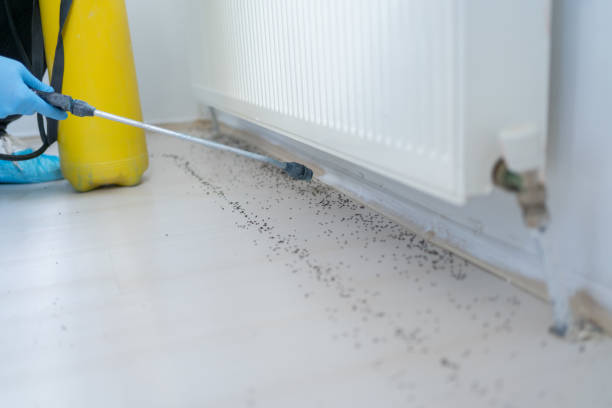 Best Pest Removal Services  in Holyoke, CO