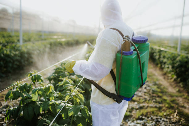 Best Wildlife Control Services  in Holyoke, CO